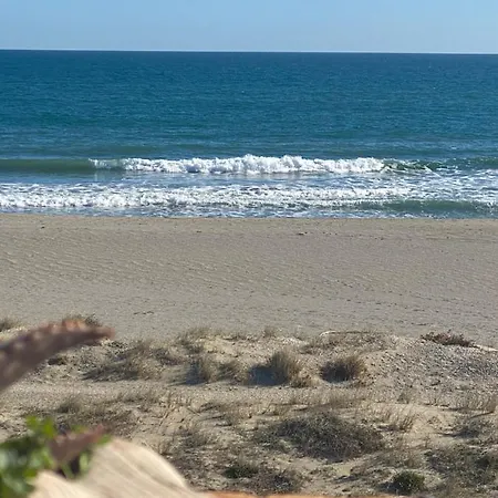 Apartment Appartement 3 Pieces Sur Le Sable Le Barcares *